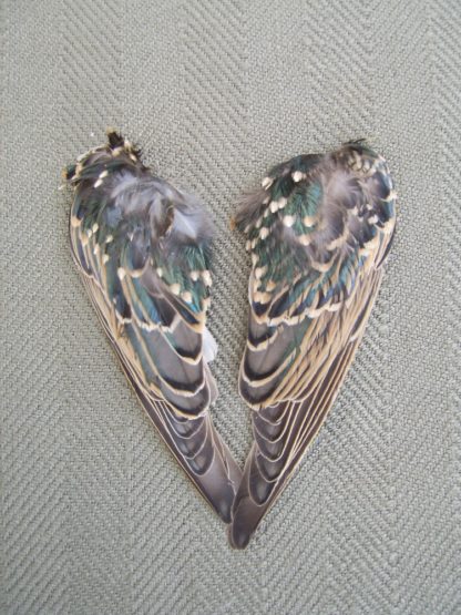 pair of lure wings