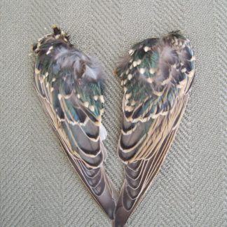 pair of lure wings