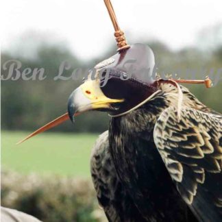 eagle hood by ben long