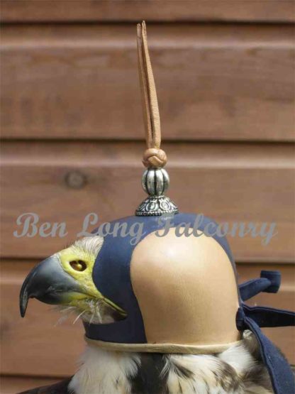 falconry hood pearl