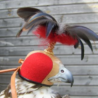 dutch traditional hood with red sides