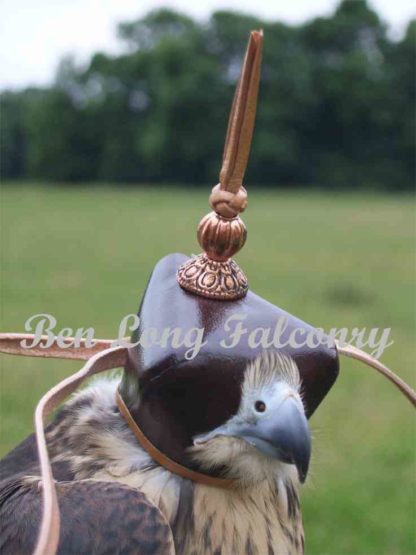 falconry hood nina