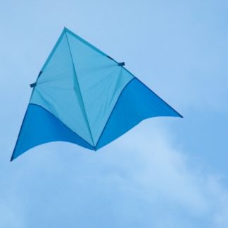 Training Kite
