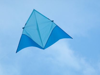 Training Kite