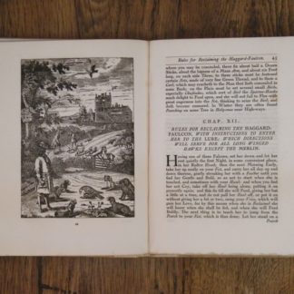 book Hawking or Faulconry by Richard Blome