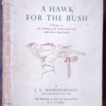 book 1960 a hawk for the bush jack mavrogordato