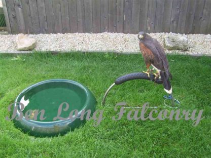 hawk bath large